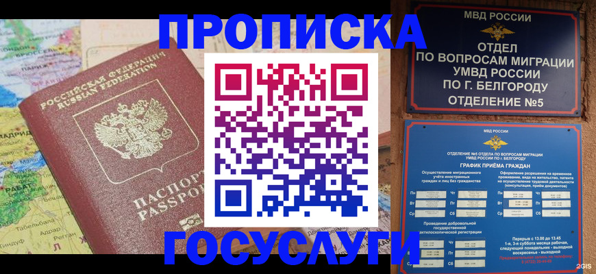 прописка регистрация в Кингисеппе