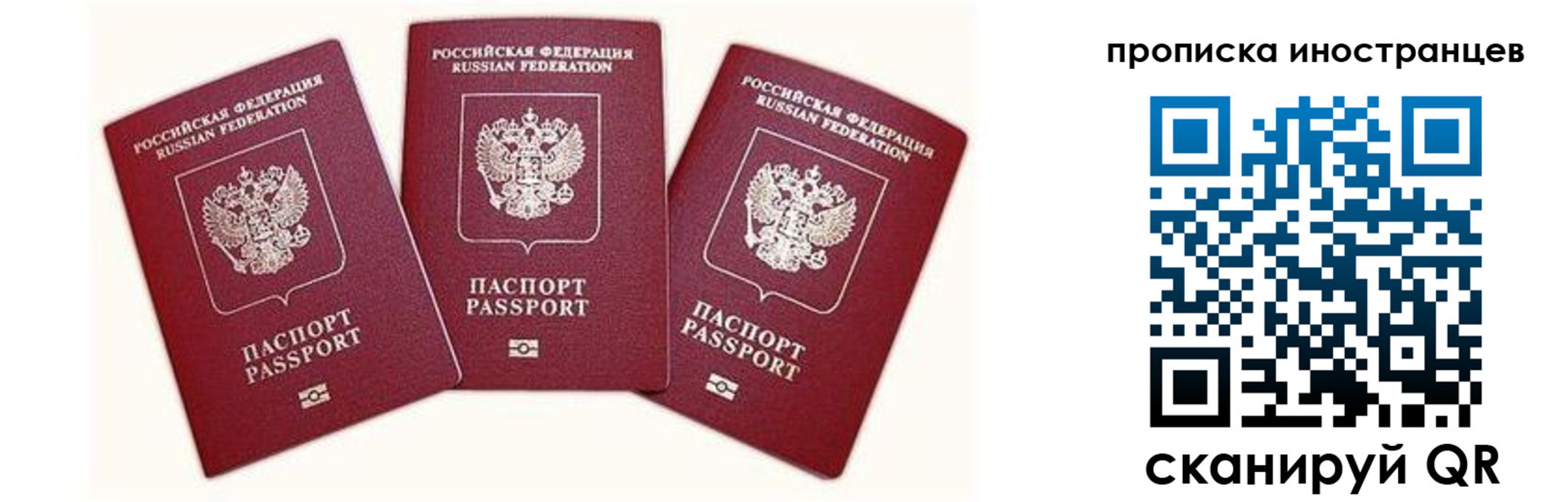 прописка в Кингисеппе