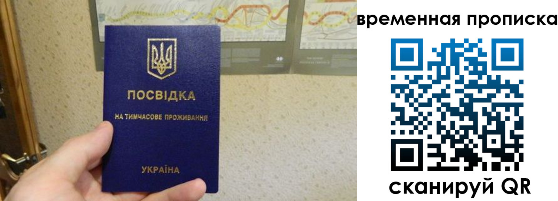 прописка для кредита в Кингисеппе